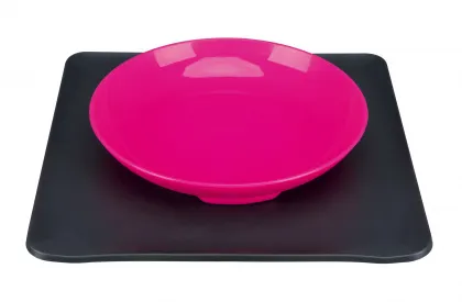 YUMMYNATOR Futternapf System 2 in 1 0.4 Liter