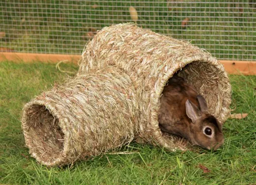 KERBL Grasröhre für Kaninchen + Meerschweinchen