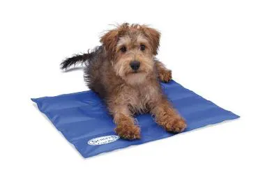 Hundekissen, Decken, Betten