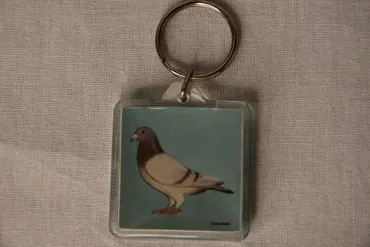 Schüsselanhänger Brieftaube Kunststoff