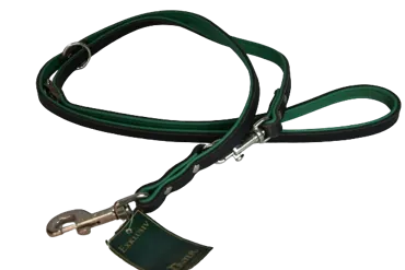 HUNTER Hunde Führleine 200 cm Black-Grün