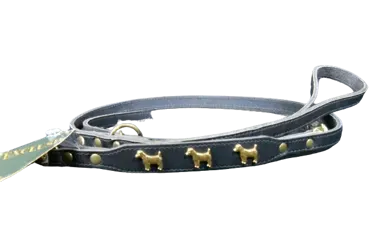 HUNTER Verstellbare Führleine Jack Russel schwarz 2 m