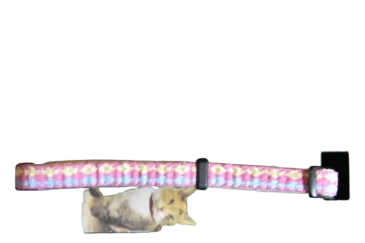 HUNTER Katzenhalsband Krazy Scotty