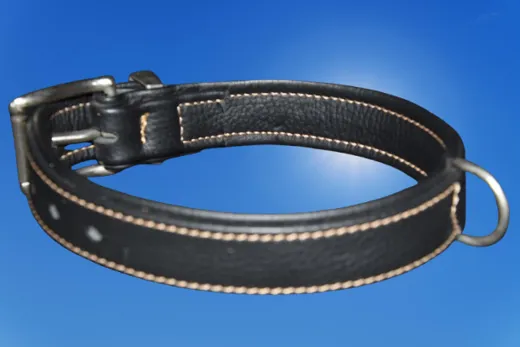HUNTER Hundehalsband für kräftige Hunde