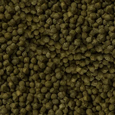 SERA Koi Color Nature Large 21 Liter