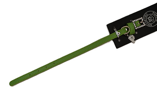 Pupia Hundehalsband S grün